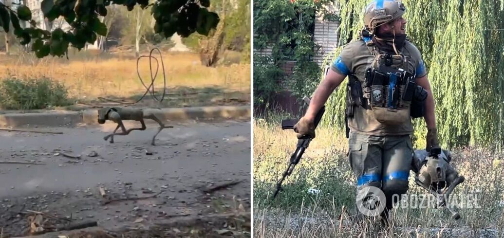 The Ukrainian military uses robotic dogs for reconnaissance at the front. Video