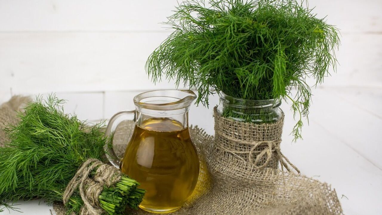 How to preserve dill for winter without freezing: turns out useful and delicious