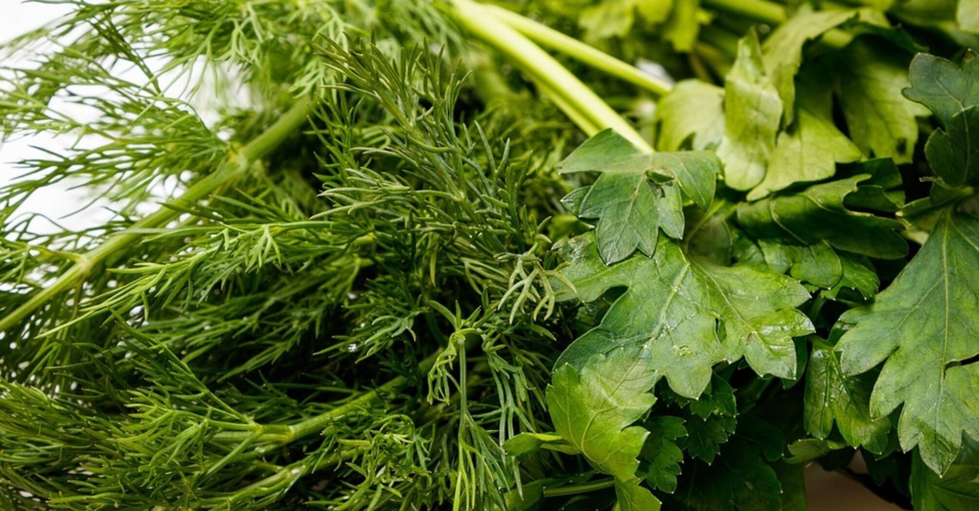 It will be as fresh all year round: we tell you how to freeze greens for the winter