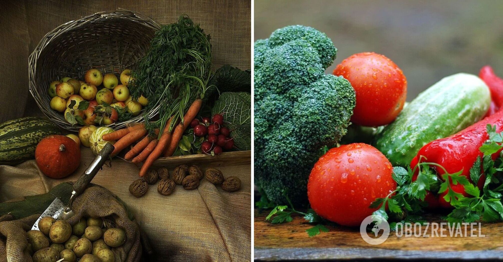 How not to spoil vegetables: useful tips