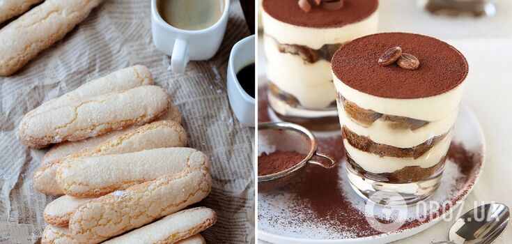 How to replace savoyardi cookies in Tiramisu: all the nuances of the dessert