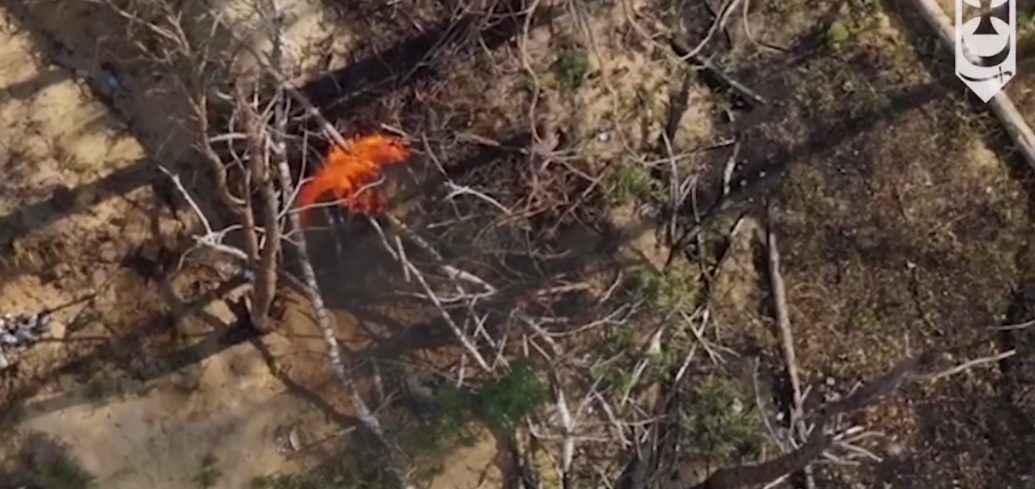 National Guardsmen show how they stop enemy's attempts to gain a foothold in Serebryansky forest: powerful footage