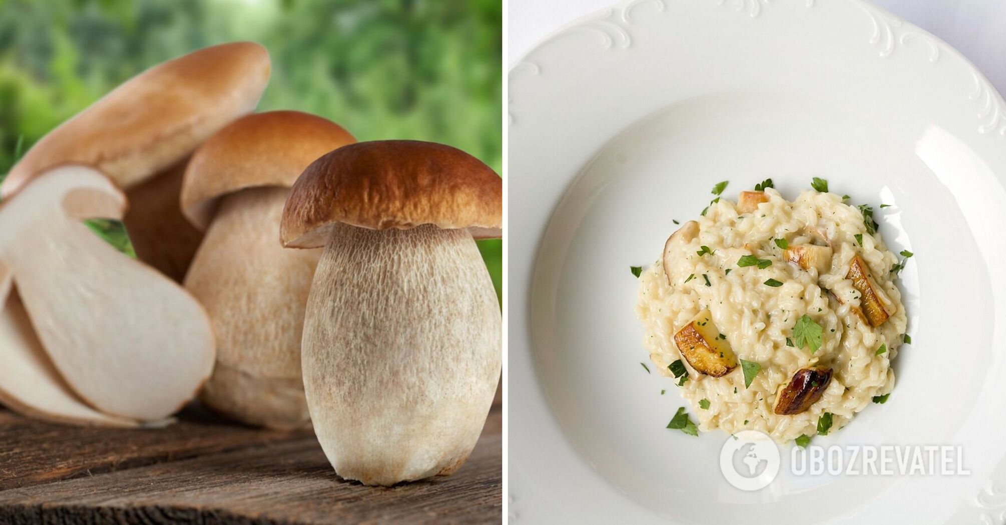 Risotto with porcini mushrooms