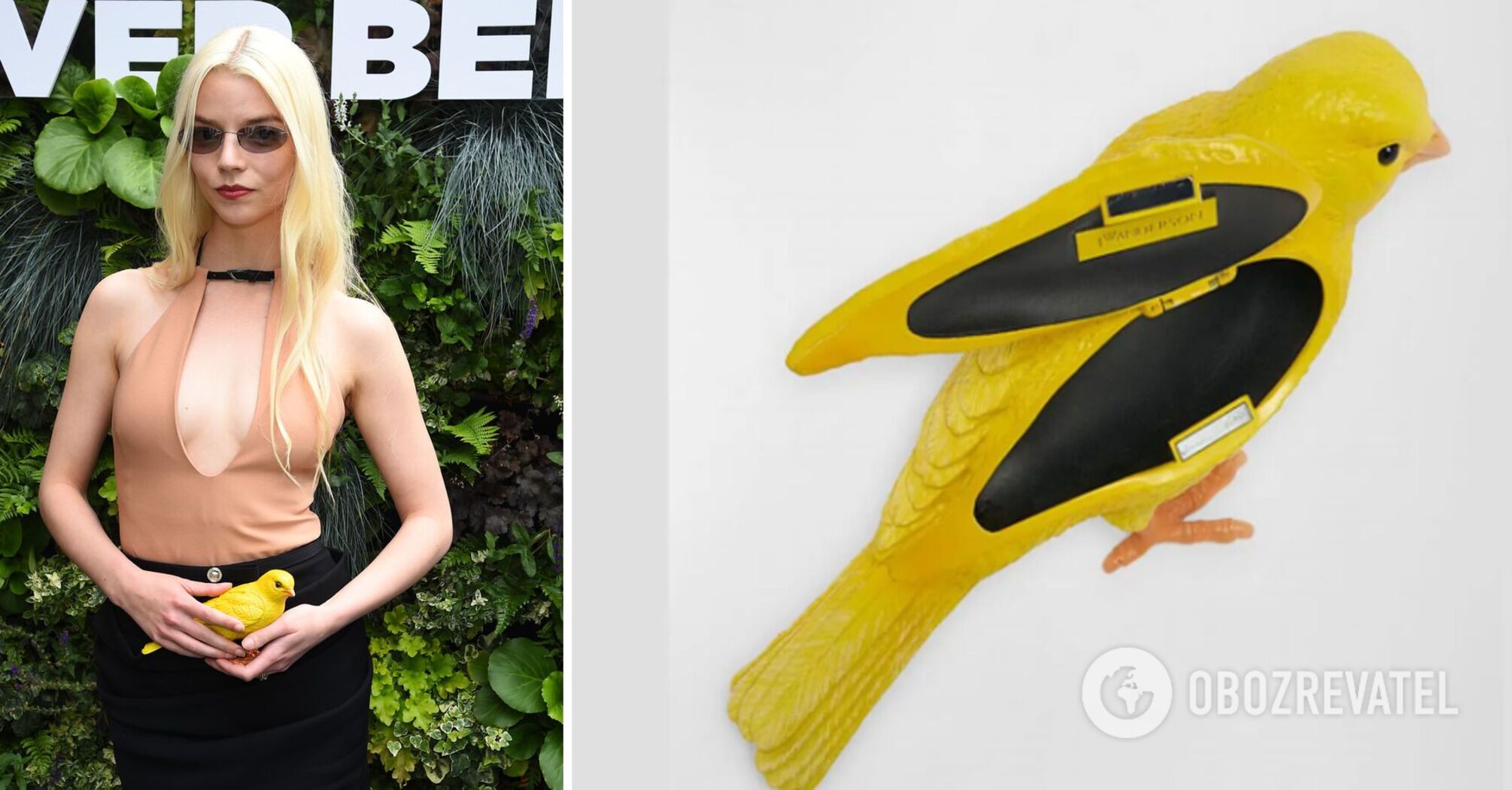 A canary bag for 35 thousand UAH has become a trend among the stars: it can barely fit a pack of cigarettes. Photo.