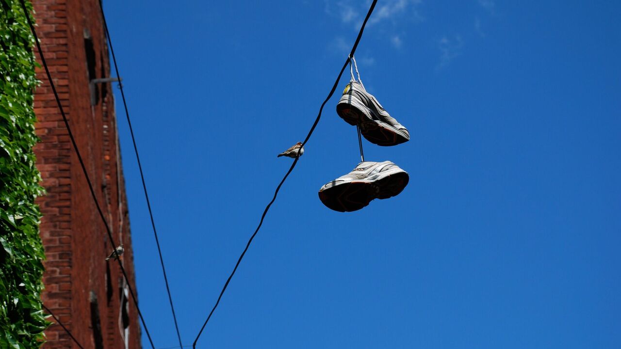 In the Guggenheim Museum, old sneakers were mistaken for a work of art: the video went viral