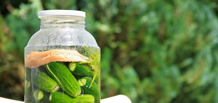 What not to do when canning: top 5 mistakes that will ruin it