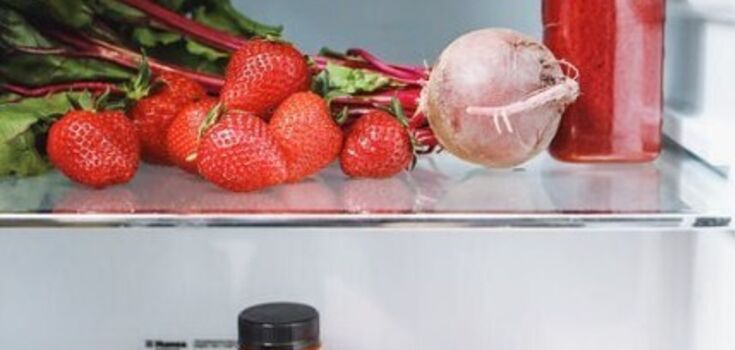 How to store food without electricity so that it does not spoil: the best tips
