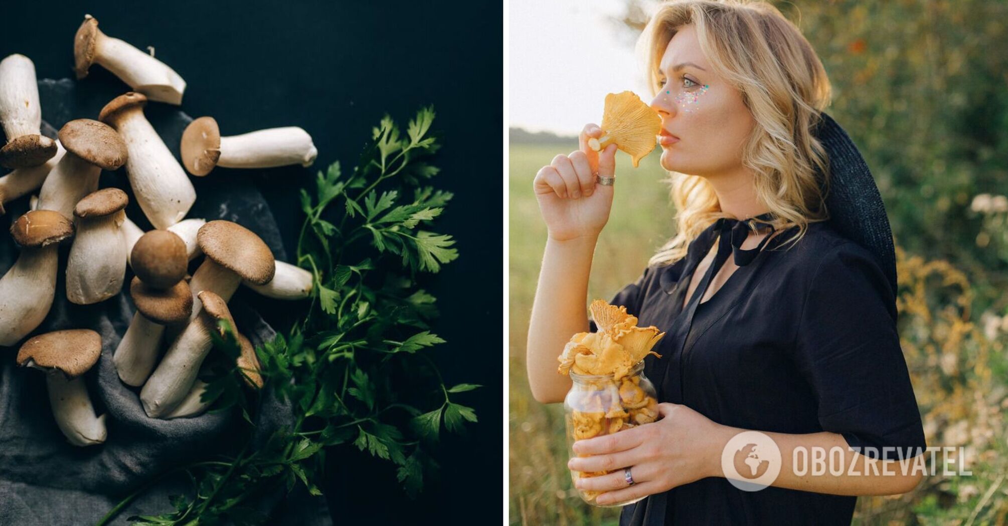The healthiest mushrooms have been named: they should be added to the diet