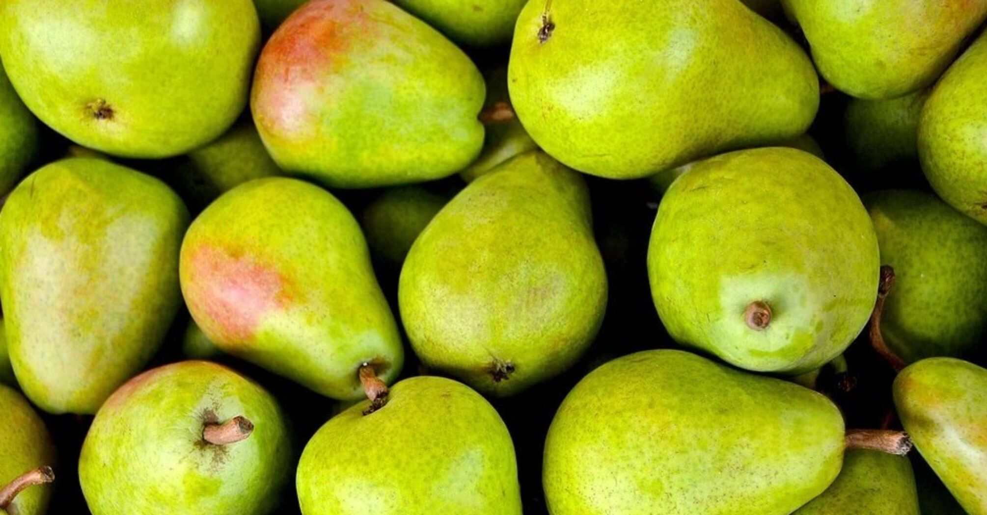 Dried pear in the oven for winter: how to choose and prepare the fruit