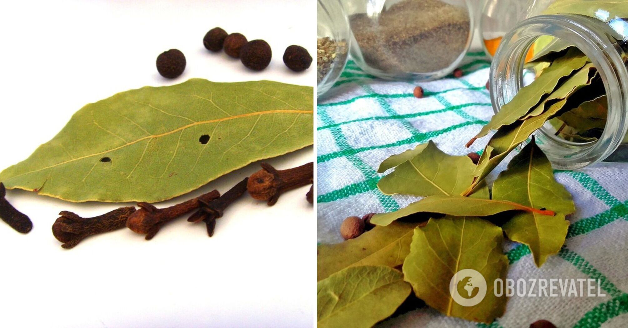What dishes will bay leaves spoil: where is it better to use