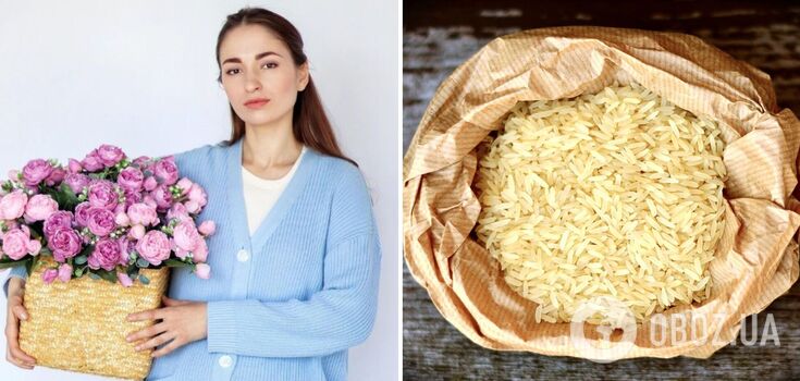 How to cook fluffy rice in a pot and frying pan: tips and tricks. Exclusive