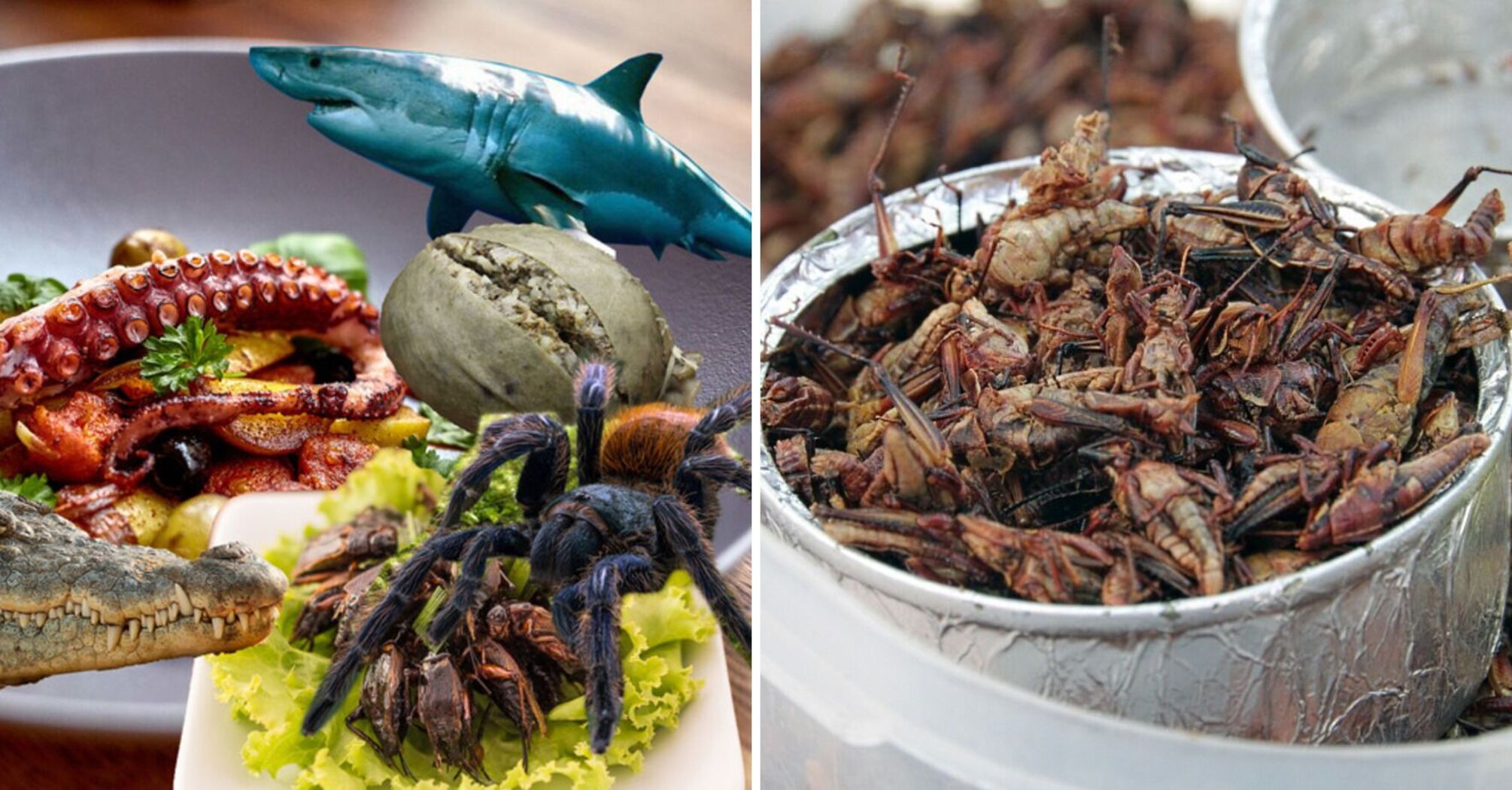 Fried spiders and pancakes with blood: unusual dishes around the world