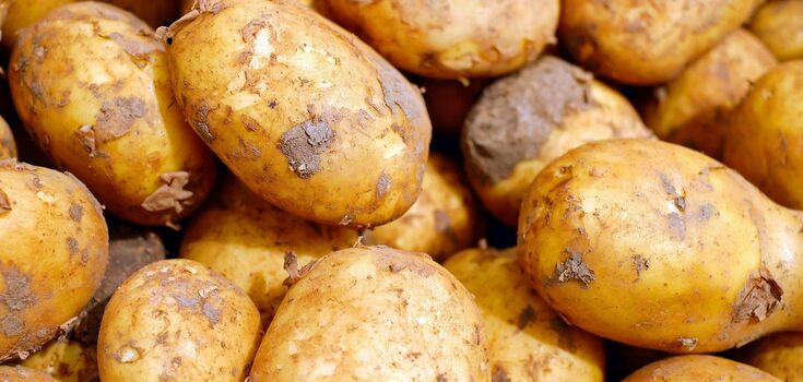 How to cook potatoes properly