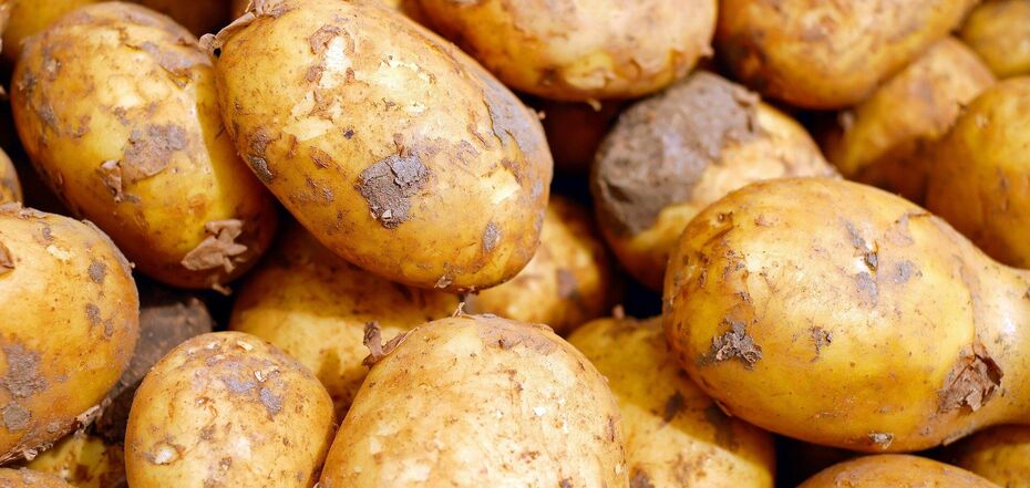 How to cook potatoes properly