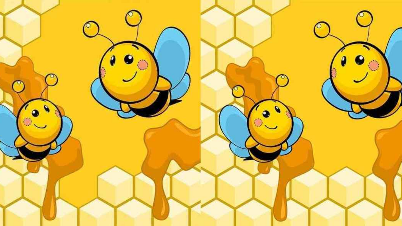 Find all the differences: fun puzzle with bees