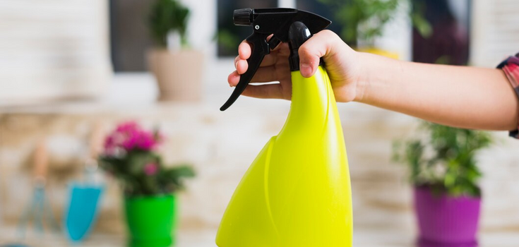 How to get rid of mold odor at home: effective tips