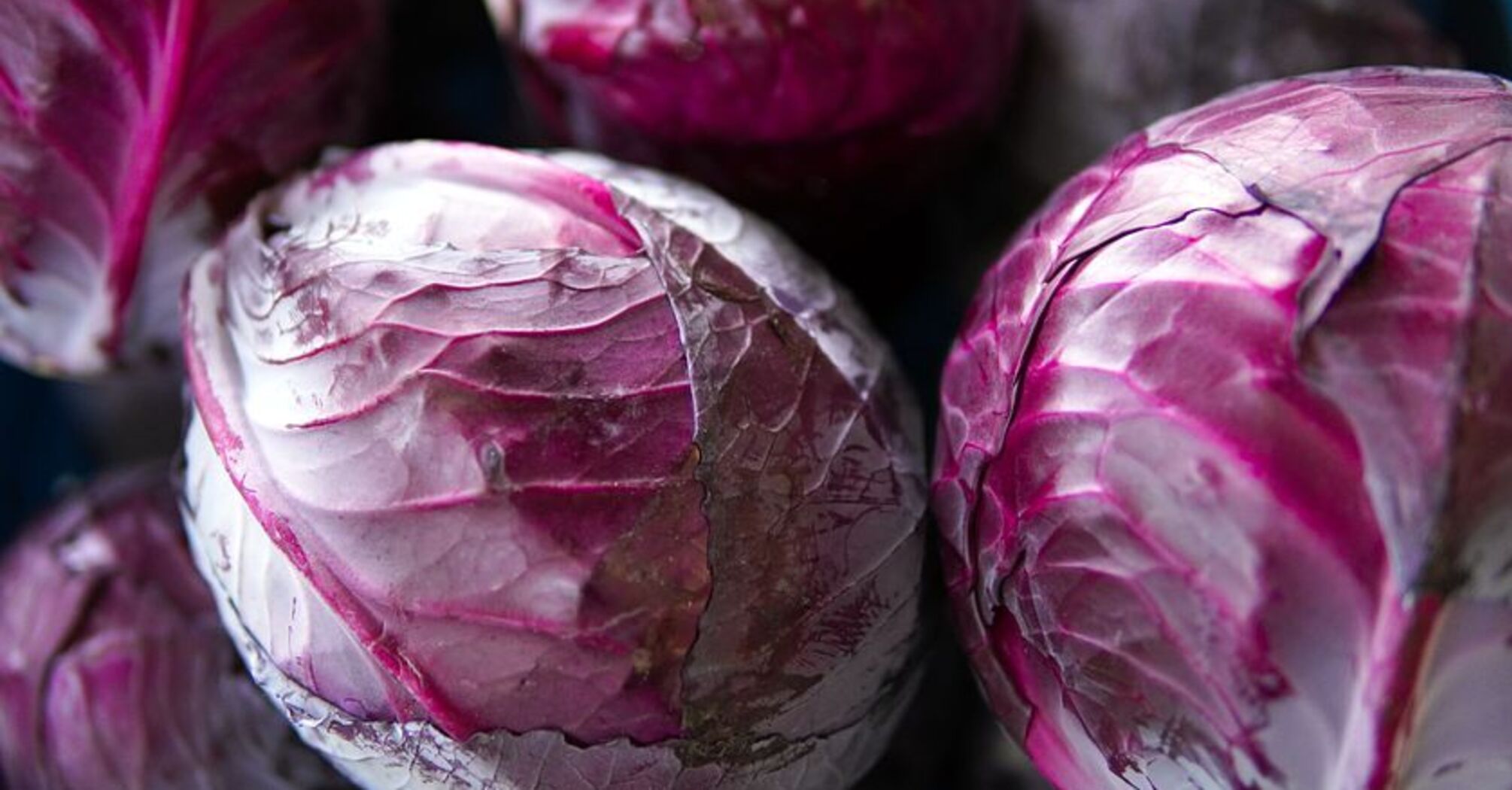 Crispy and sweet pickled cabbage: how to cook the right way