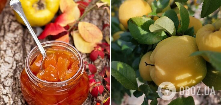How to make quince jam correctly: 3 types of delicious preparation for the winter