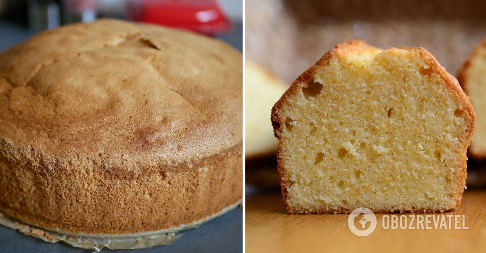 How to bake a fluffy sponge cake: tips and recipes from chefs