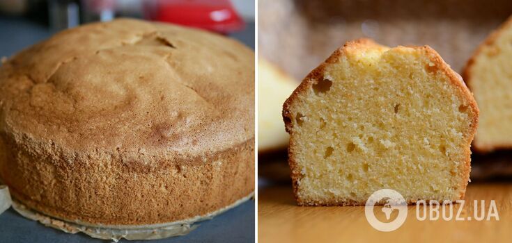 How to bake a fluffy sponge cake: tips and recipes from chefs