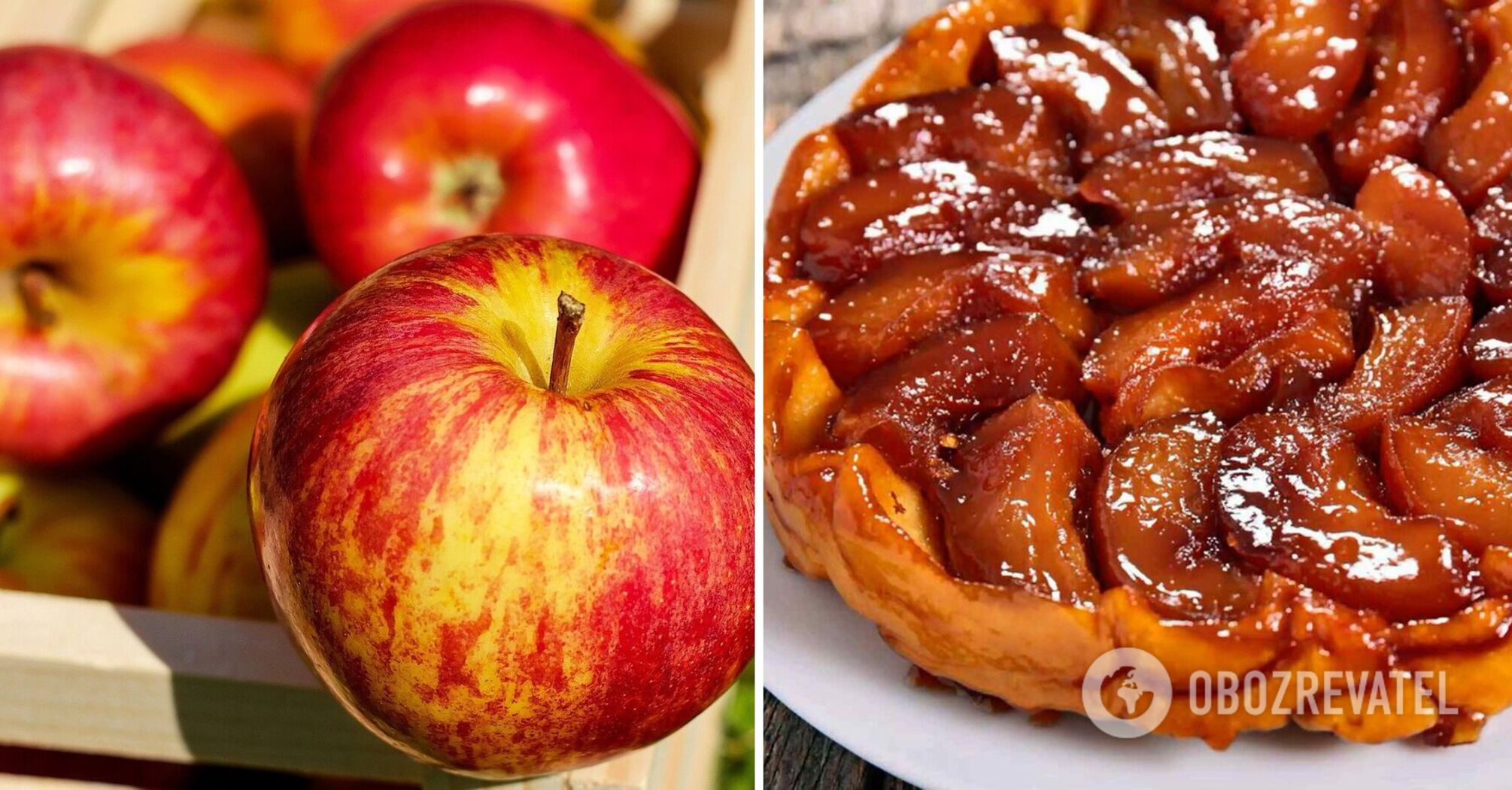 Tarte Tatin: history and recipe of the most delicious French apple pie