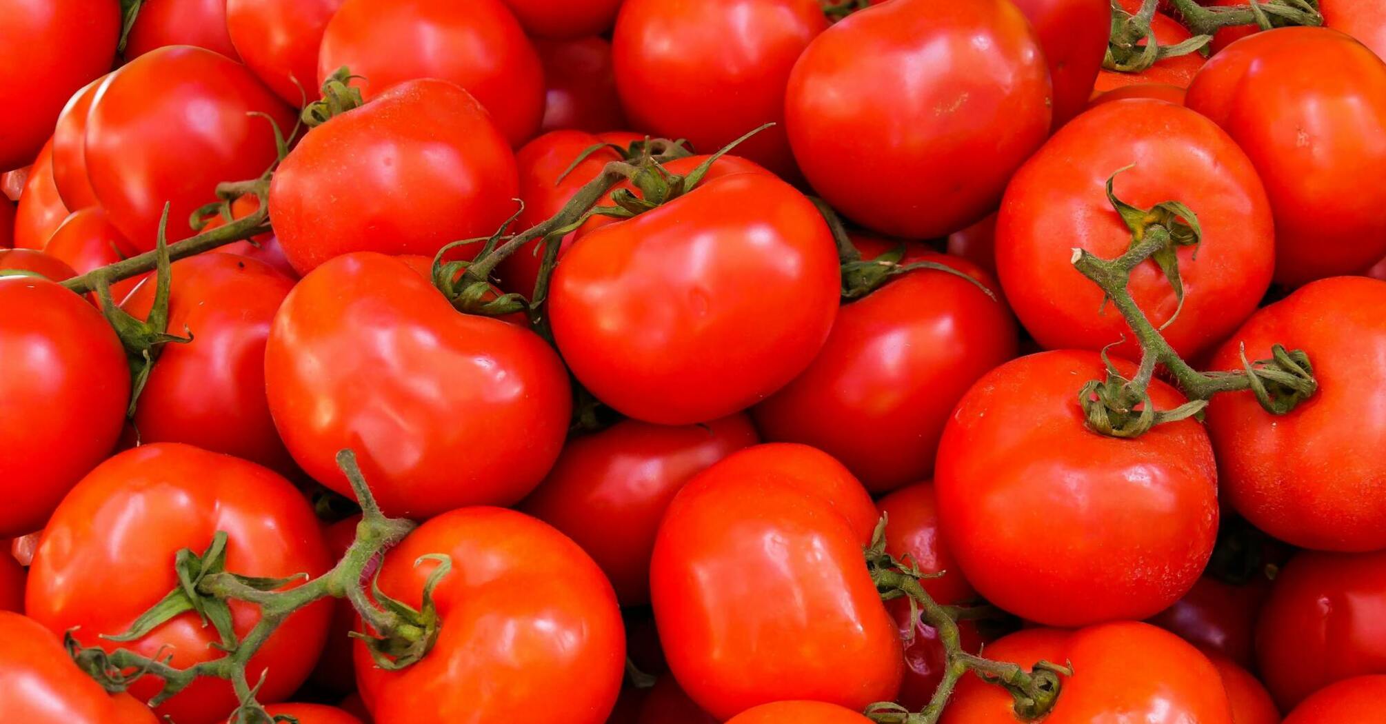 The easiest way to freeze tomatoes, preserving vitamins: tell us step by step