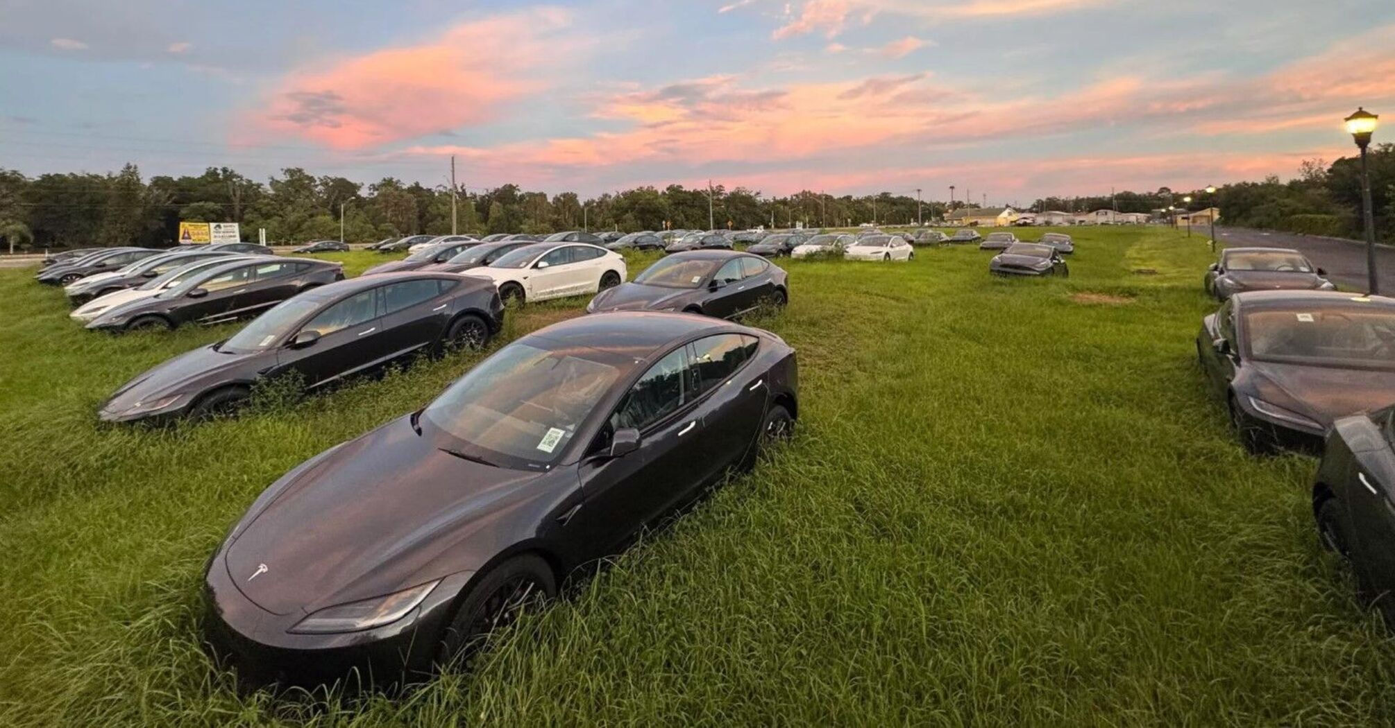 Tesla cars can't find buyers - hundreds of Tesla models are lying idle
