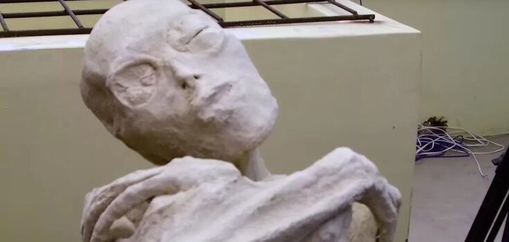 They look like cell phones. In the "alien mummies" from Peru found surprising metal objects