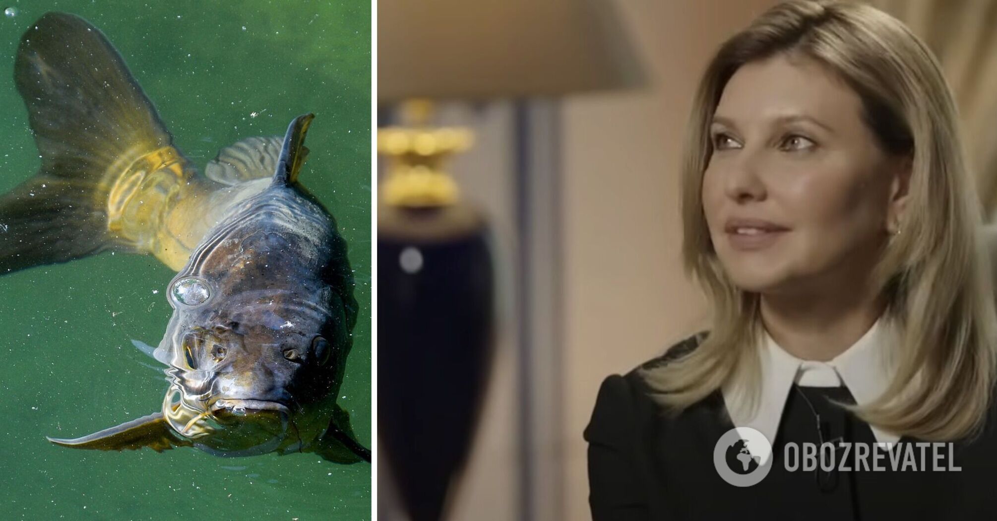 This will be a sign that Ukraine has won. Olena Zelenska promised to clean the fish from the Dnipro River