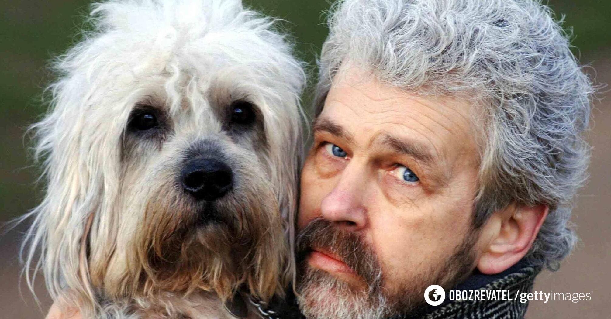 Why dogs resemble their owners: research results