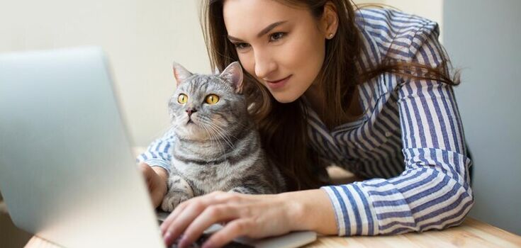 Why cats like to lie on laptops: the reason you won't like it