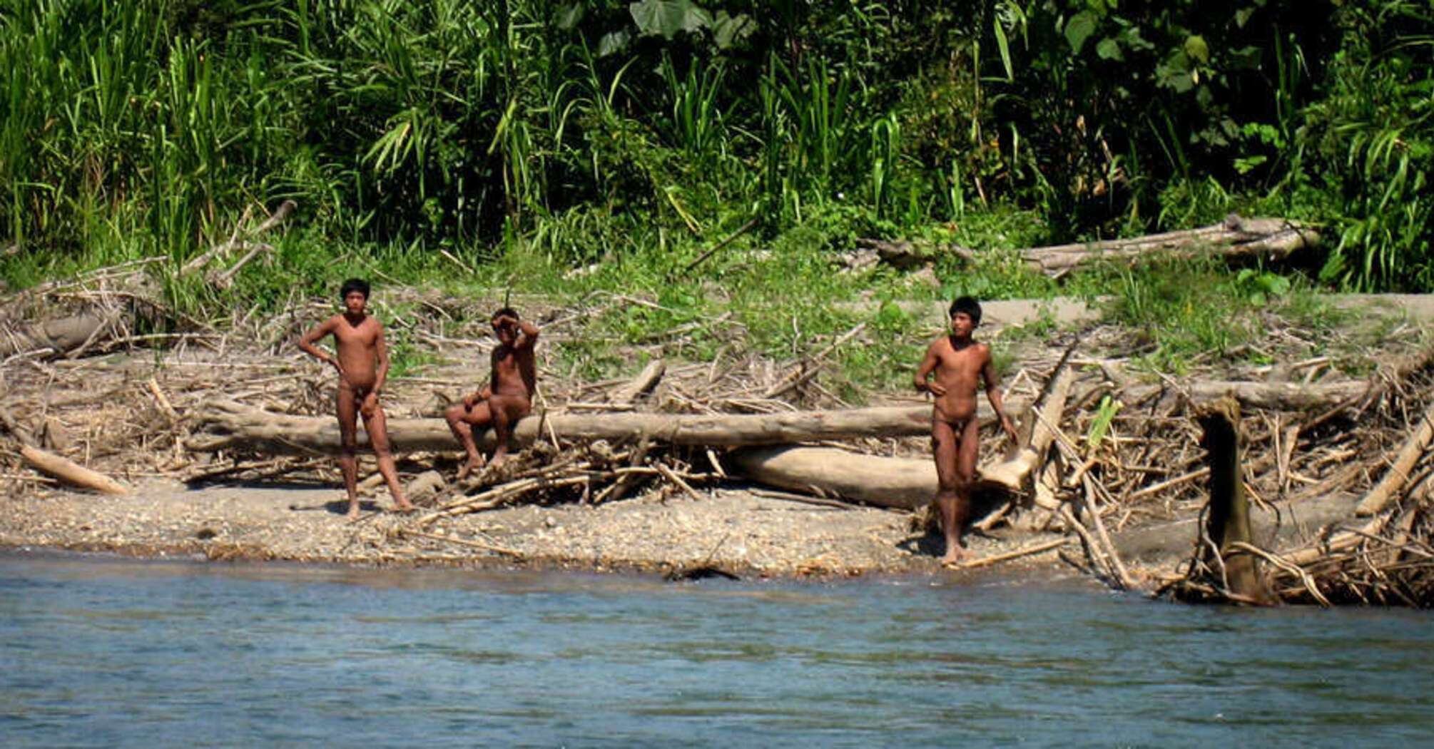 One of the world's most isolated tribes, who first emerged from the Amazon rainforest, attacked loggers