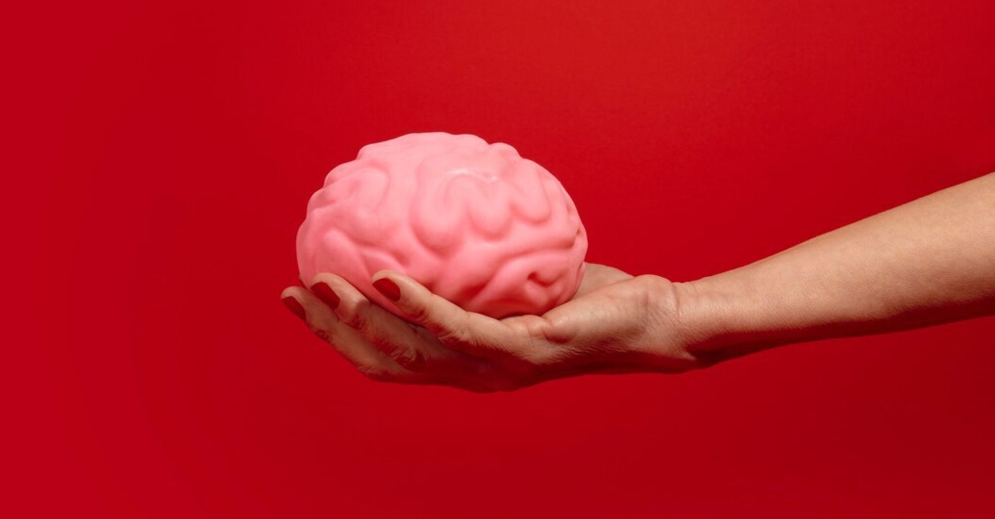 Scientists disprove the main myth about the brain: size does not matter