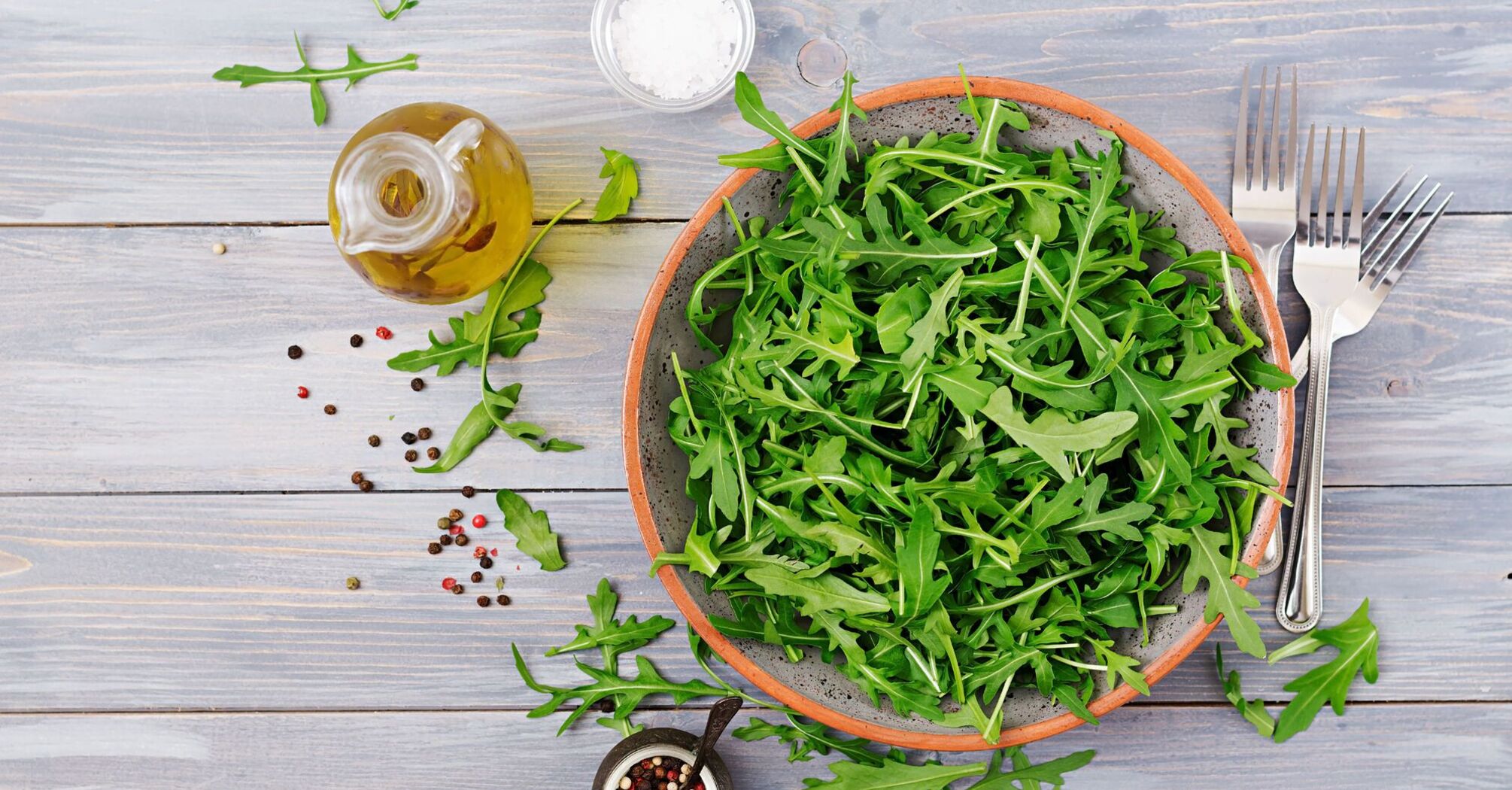 How to grow arugula at home: even a beginner can do it