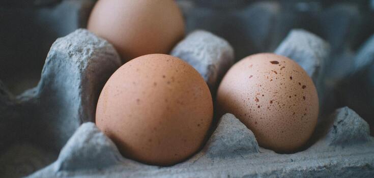 Expert says you should never store eggs in this part of the refrigerator