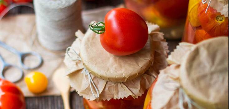 Pickled tomatoes in a day: the easiest recipe for a delicious snack