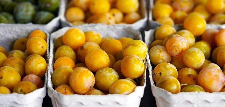 How to pickle cherry plum for the winter: top 3 most popular recipes