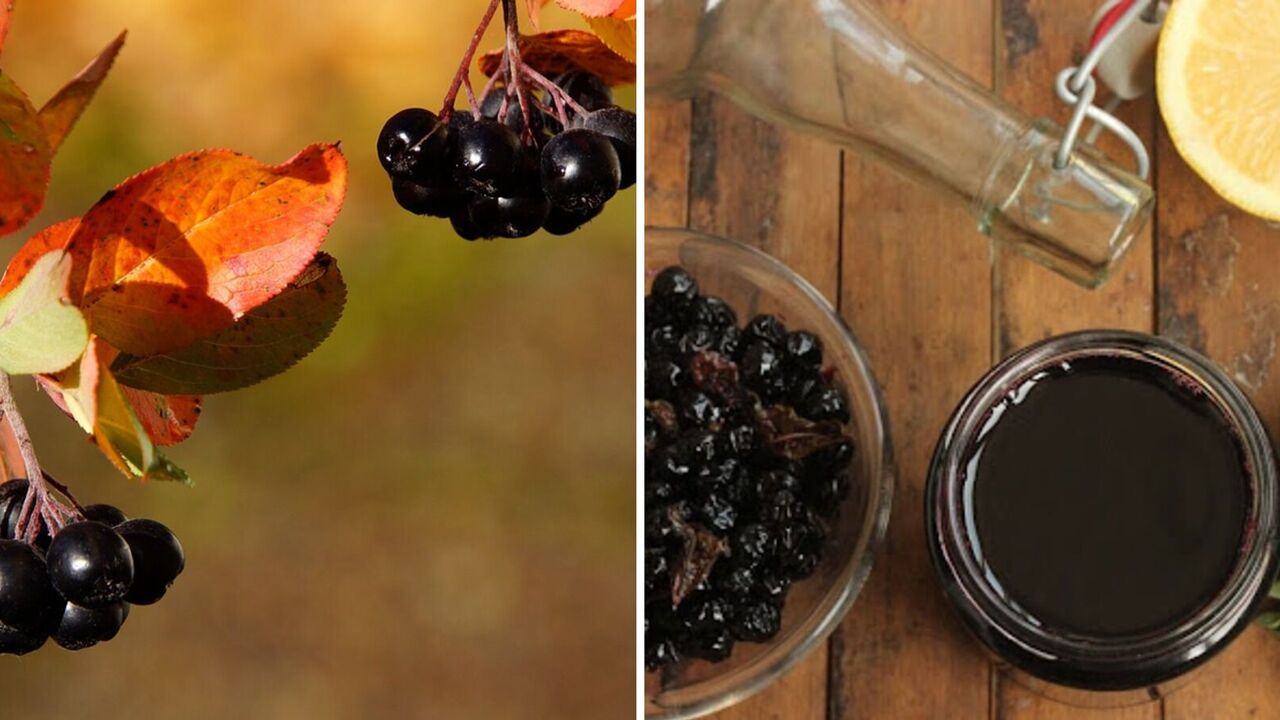 What can be made from chokeberry: unusual recipes