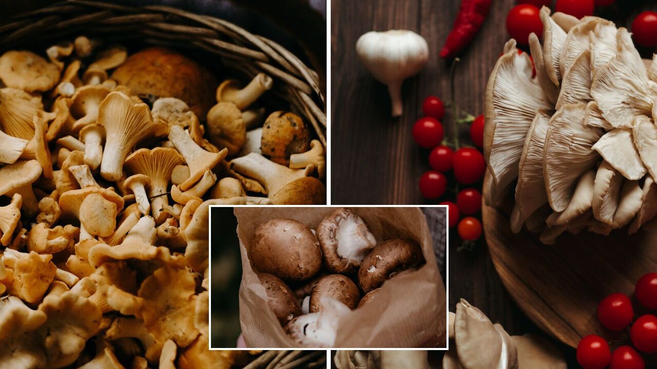 Why you should definitely eat mushrooms: