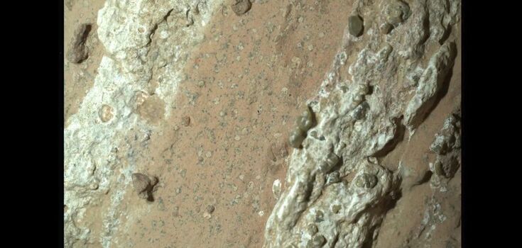 Possible signs of ancient life have been found on Mars. Photo