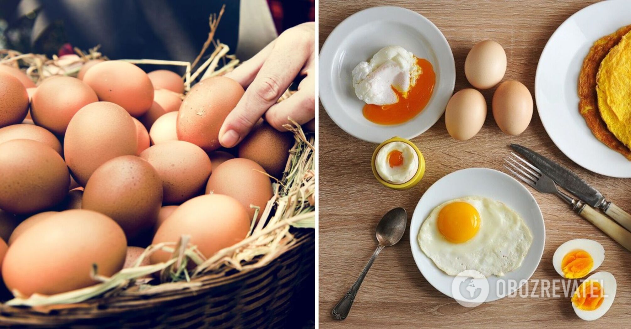 Why eating eggs is dangerous: scientists have found a link to premature death