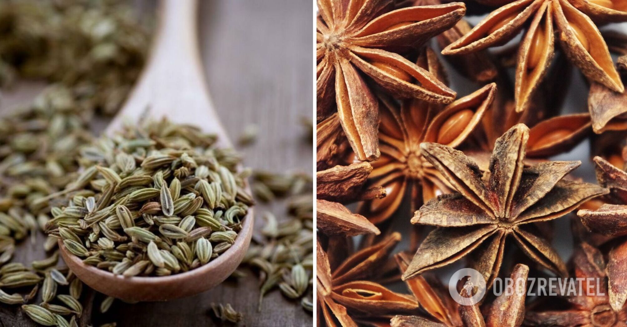 The benefits and harms of anise