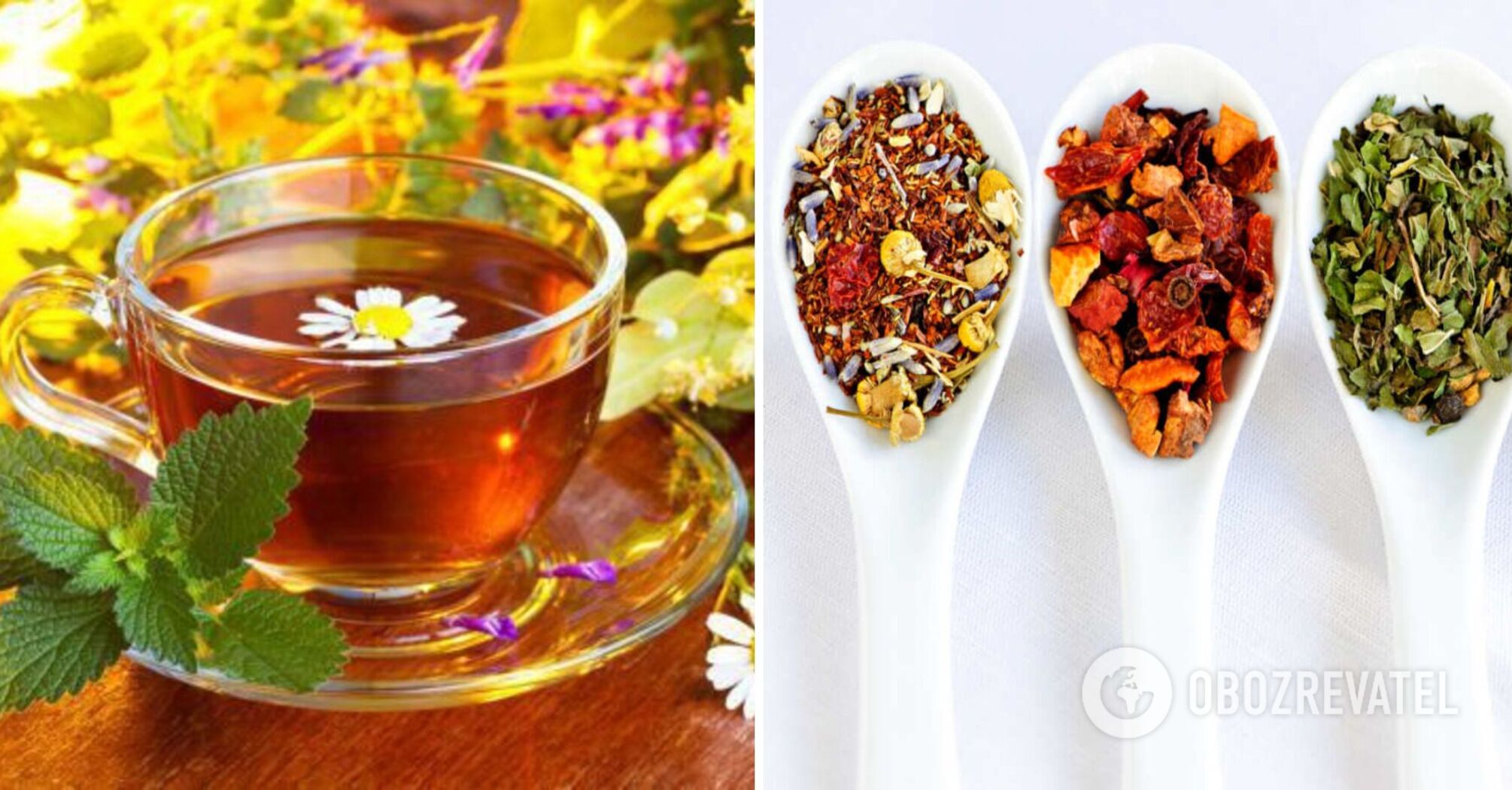 What are the dangers of herbal tea: what exactly are you drinking and ...
