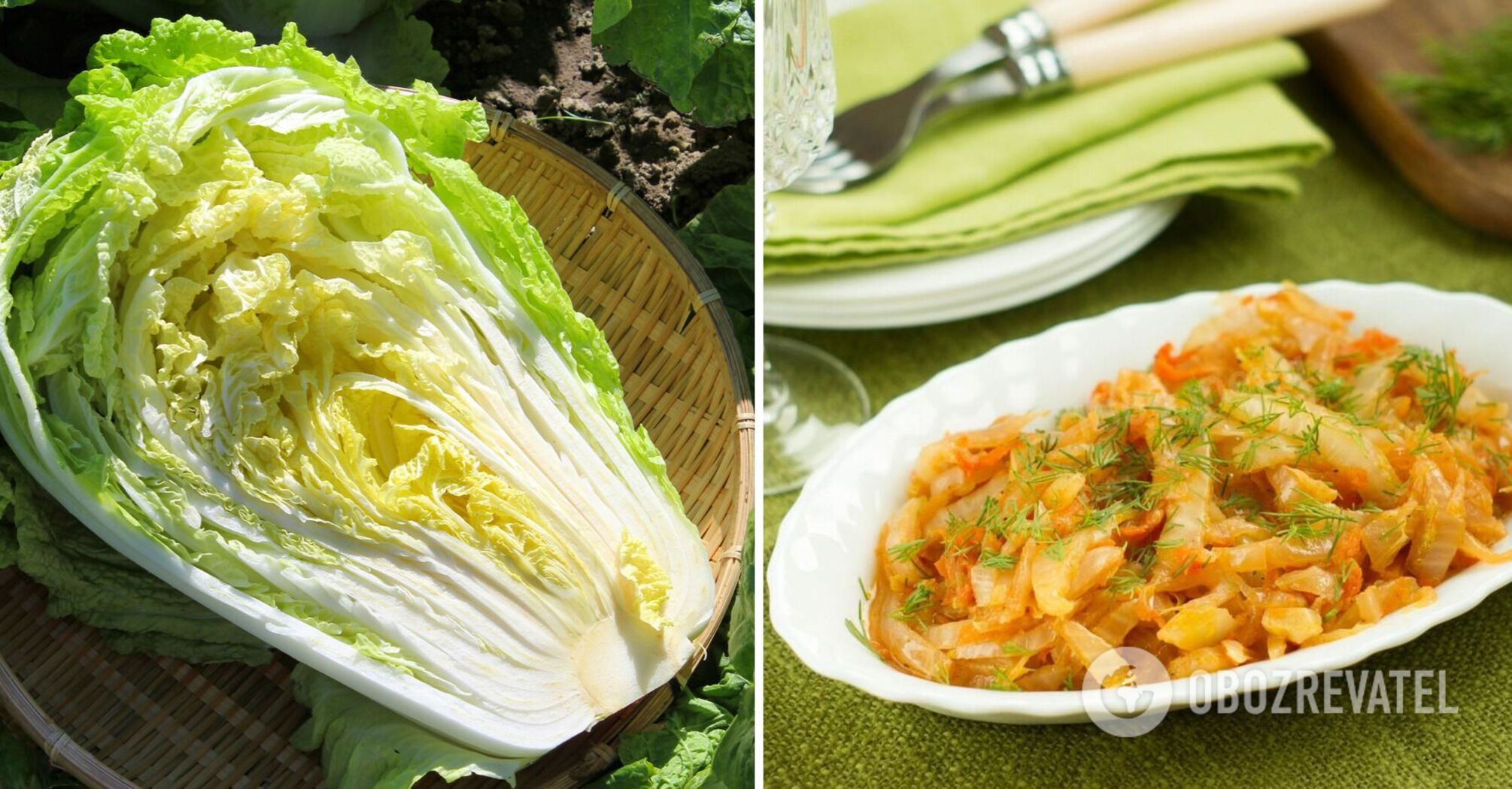 A delicious and healthy dish of cabbage and minced meat