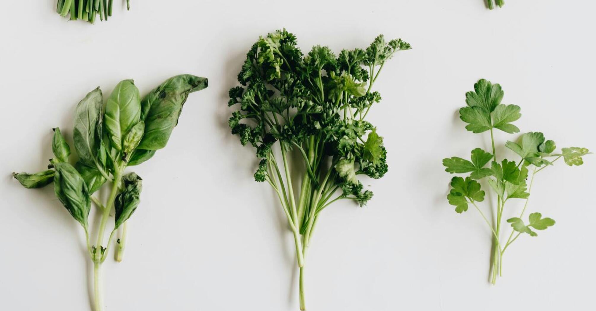 How to keep your supermarket herbs fresh for weeks: a simple lifehack
