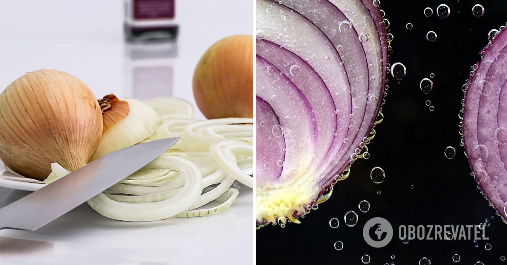 What can be cooked if you have only onions at home: top dishes for the lazy