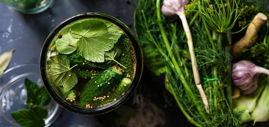 Recipe for crispy cucumbers