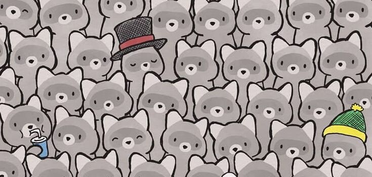 Find the cat among the raccoons: this optical illusion will make even the most attentive sweat