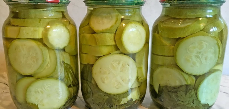 Why do pickled zucchini darken in a jar: three mistakes you shouldn't make