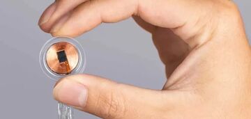 Firma Muska Neuralink po raz drugi wszczepiła implant do mózgu mężczyzny: co wiadomo o stanie pacjenta